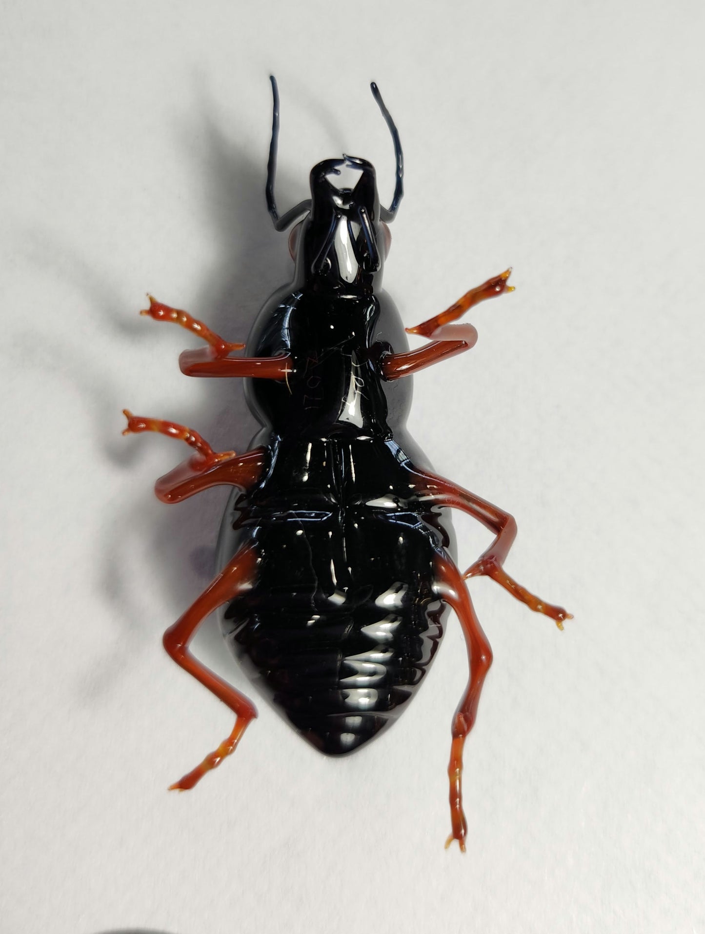 Vetropod Emerald Tiger Beetle