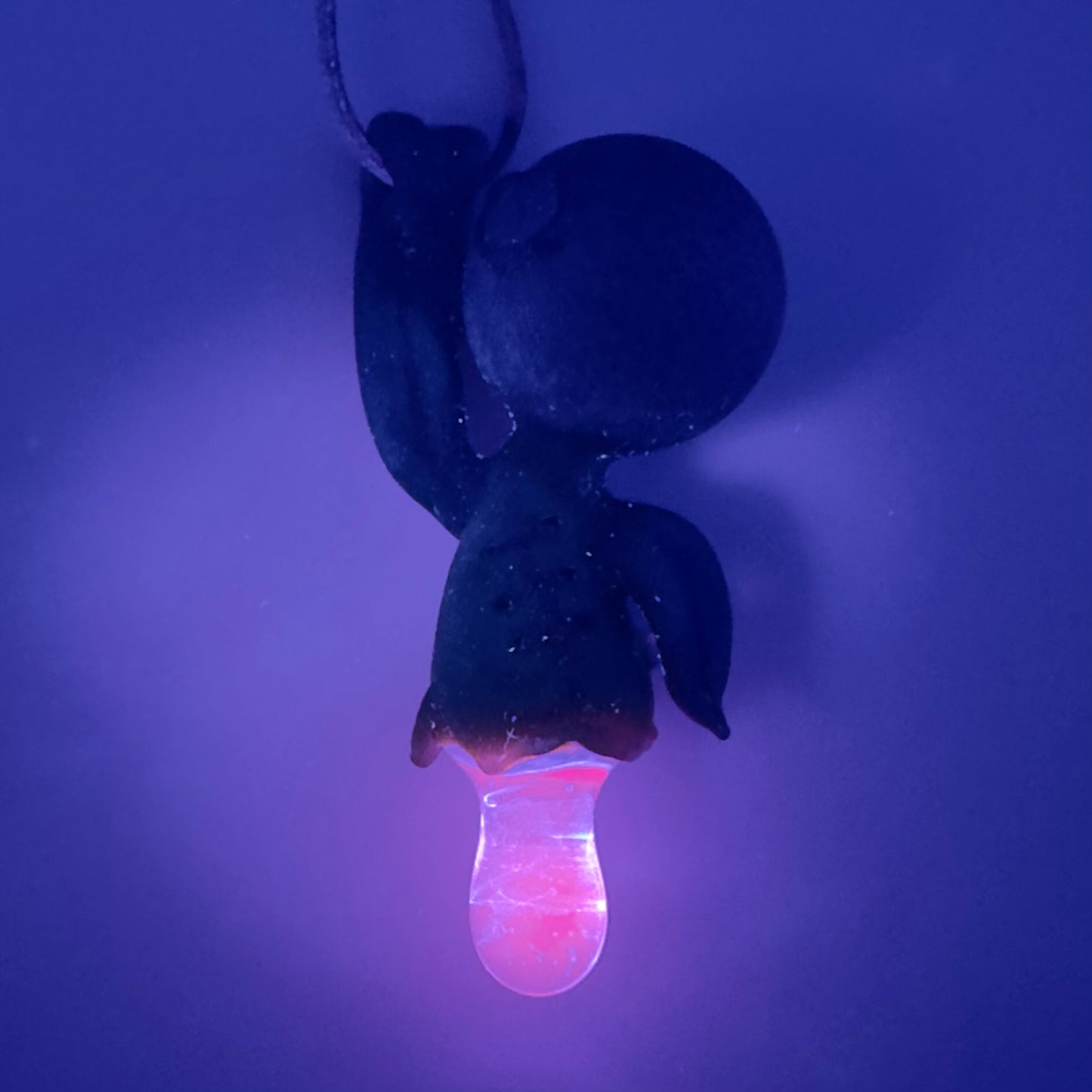Peter Muller KT littlefield blueberry Pendy collab with Uv