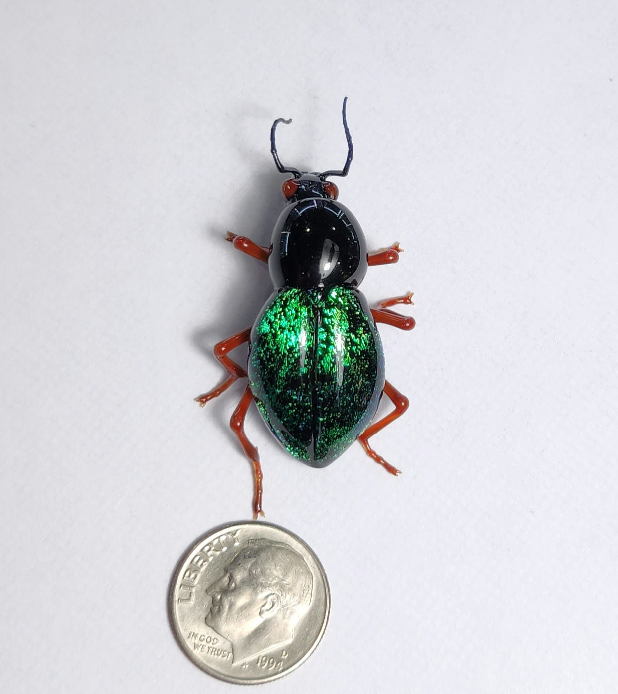 Vetropod Emerald Tiger Beetle