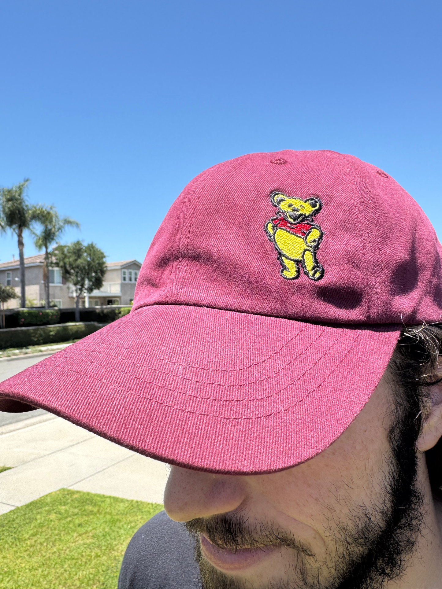 Dancing Pooh Hats Clever Rooz