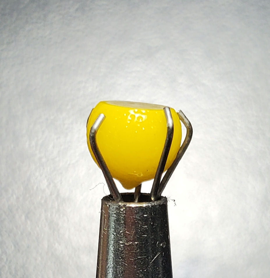 Abigail Castagnaro Lemon Pearl