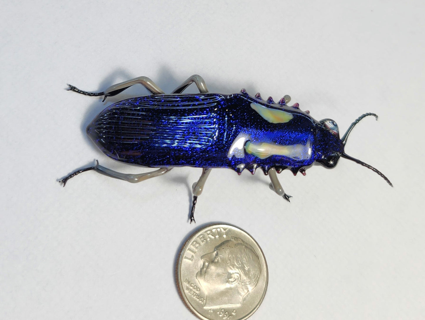 Vetropod Sapphire Jewel Beetle
