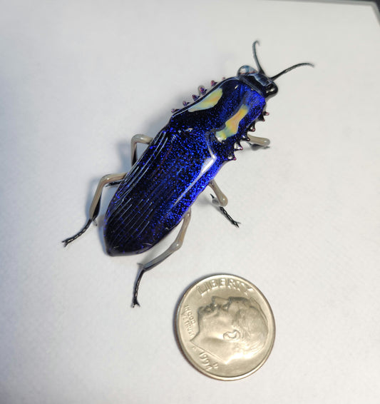 Vetropod Sapphire Jewel Beetle