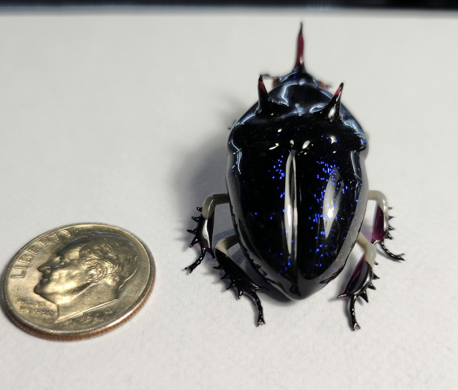 Vetropod Sapphire Rhino Beetle